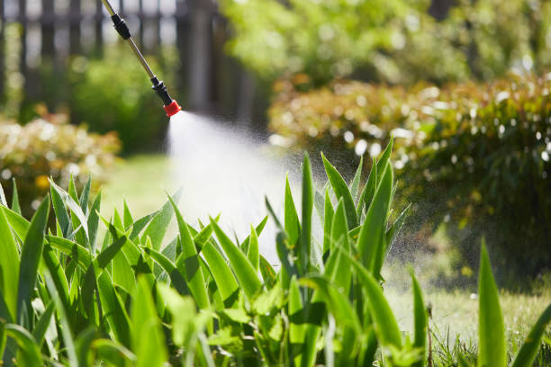 24/7 Emergency Wasp Removal experts in Veedersburg, IN