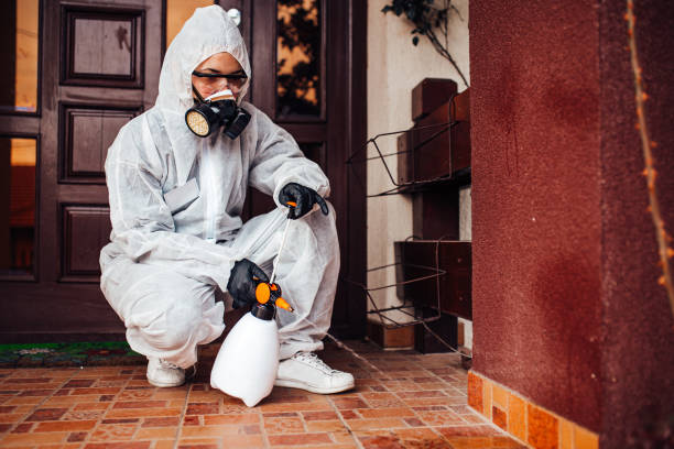 Reliable Wasp Removal contractor in Veedersburg, IN by Show Me Pest Control